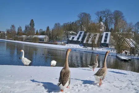 Libellule Style, Maison de Vacances à Vielsalm avec Vue sur le Lac - Photo 19