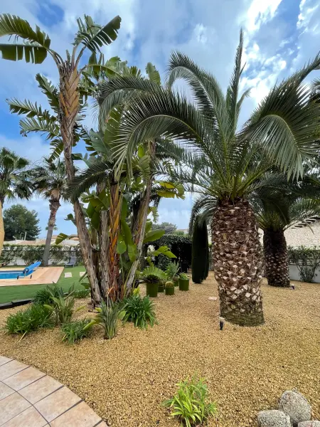 Sonrisa, Villa luxueuse avec piscine à Benissa, Valence - Photo 19