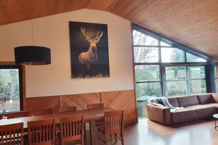 Opaal, Chalet à Odeigne avec piscine et sauna privés - Photo 10