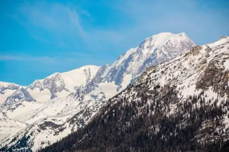 Résidence L'Altaviva 2, Charme savoyard à Tignes - Photo 38