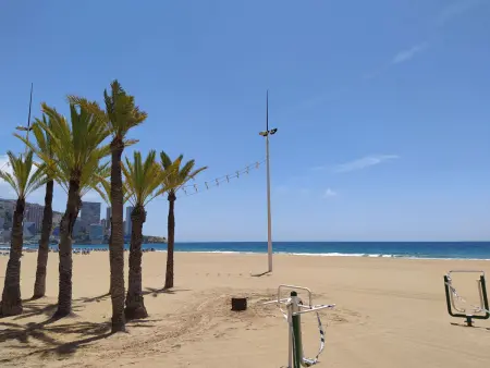 Las Palmeras, Appartement 4 personnes à Benidorm - Photo 12