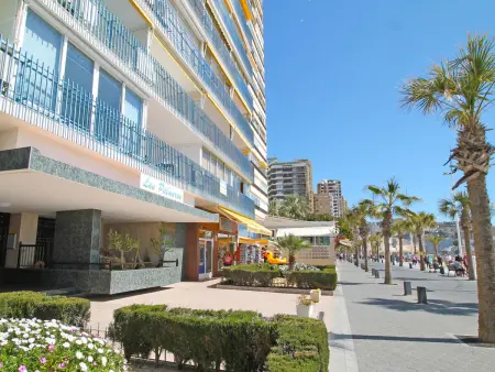 Las Palmeras, Appartement 4 personnes à Benidorm - Photo 18