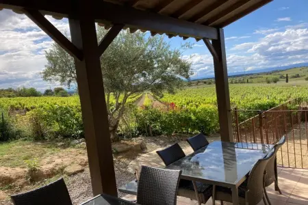 Villa le Syrah, Villa confortable avec piscine - Photo 21