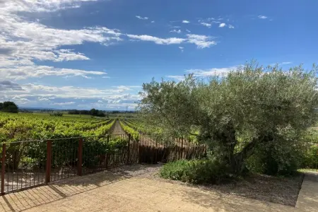 Villa le Syrah, Villa confortable avec piscine - Photo 29