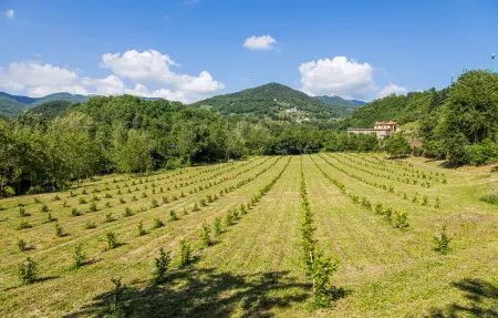 Nocciolo, Appartement 4 personnes à Fivizzano - Photo 11