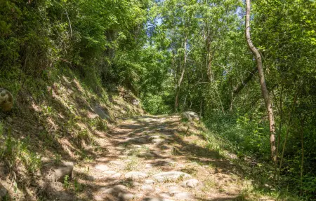 Nocciolo, Appartement 4 personnes à Fivizzano - Photo 12