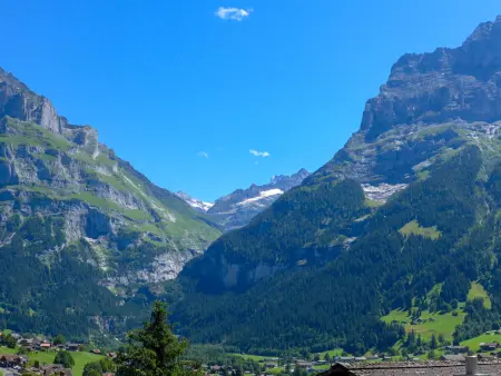 Stähli, Appartement 4 personnes à Grindelwald - Photo 24