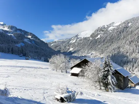 Le Grand Lodge, Appartement 6 personnes à Châtel - Photo 13
