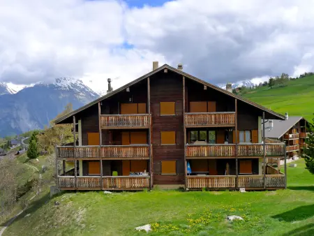 Saskia, Appartement 4 personnes à Bürchen - Photo 20