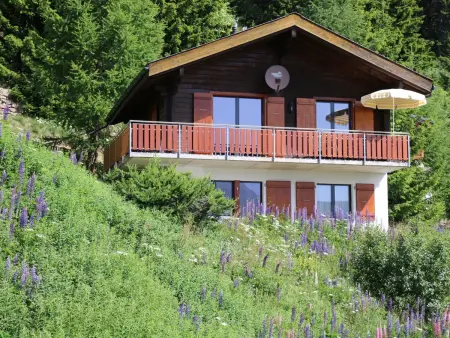 Brunnquell, Appartement 6 personnes à Bettmeralp - Photo 1