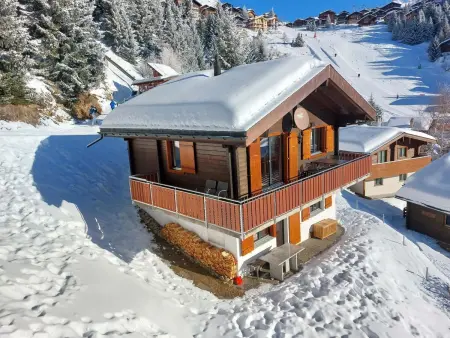 Brunnquell, Appartement 6 personnes à Bettmeralp - Photo 18