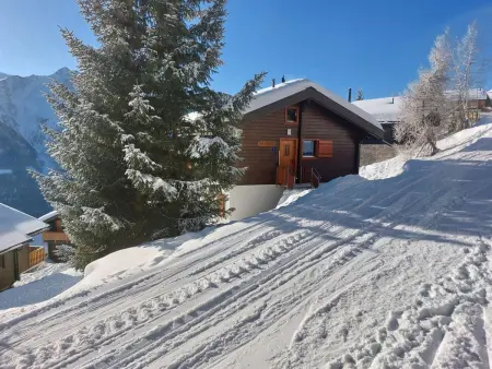 Brunnquell, Appartement 6 personnes à Bettmeralp - Photo 21