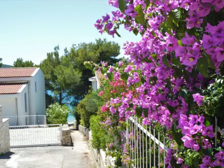 Rose, Appartement 4 personnes à Brodarica Žaborić - Photo 19