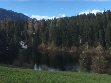 Casa Migiur, Appartement 6 personnes à Laax - Photo 29