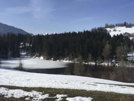 Casa Migiur, Appartement 6 personnes à Laax - Photo 30