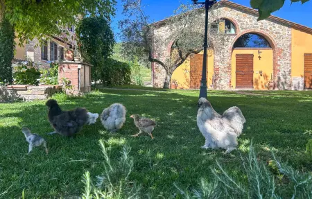 Casa val di Rigo, Maison 6 personnes à Magione - Photo 27