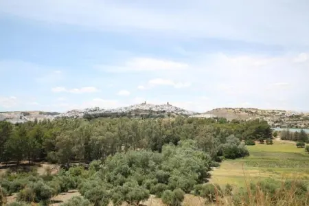 Casa Velez, Chalet avec piscine privée Viñuela - Photo 19