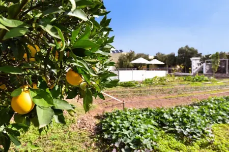 Algodones 4 pax, Villa à Ingenio avec Piscine Privée - Photo 21