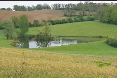 Maison de grand charme, Villa à Bruniquel près de l'Aveyron - Photo 32