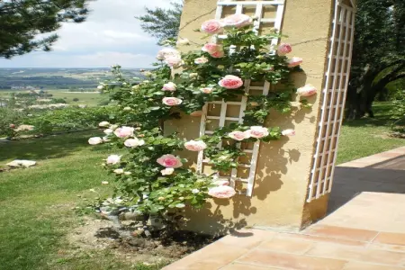 Laurence, Maison de vacances ensoleillée en Provence - Photo 12