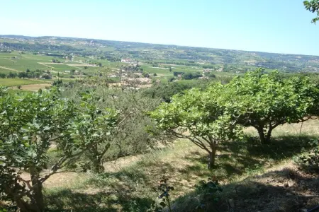 Laurence, Maison de vacances ensoleillée en Provence - Photo 14