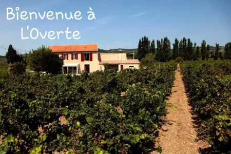 L'O Verte, Maison à Rasteau avec piscine privée - Photo 39