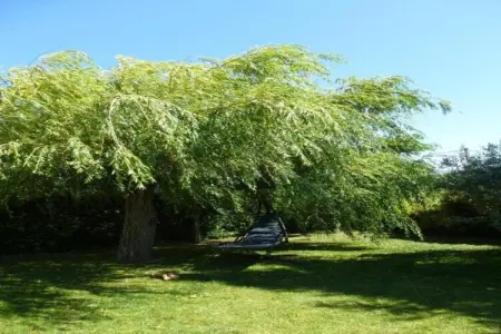 La Queue du Loup, Maison à Buisson avec Piscine Privée - Photo 38