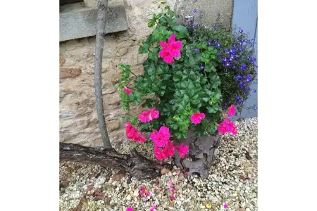 Maison fabuleuse avec piscine, Maison de vacances en Charente avec piscine - Photo 37