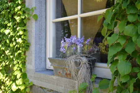 La Brocanteuse, Gîte avec baby-foot et jardin - Photo 29