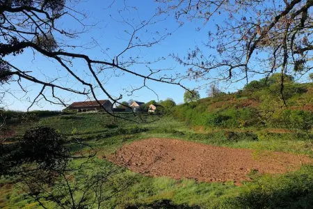 Gite Bourgogne rust & natuur, Maison à Grury avec piscine et jardin - Photo 28