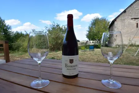 Gite Bourgogne rust & natuur, Maison à Grury avec piscine et jardin - Photo 37