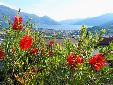 Vista Panorama, Appartement 2 personnes à Locarno - Photo 9