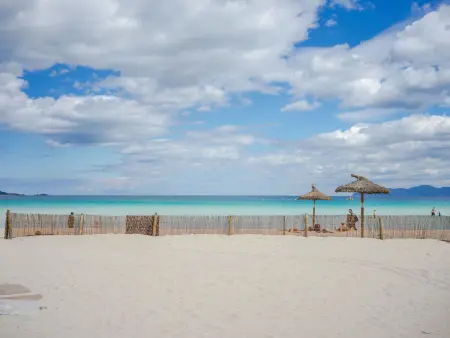 Los Girasoles, Appartement 4 personnes à Port d'Alcúdia - Photo 4