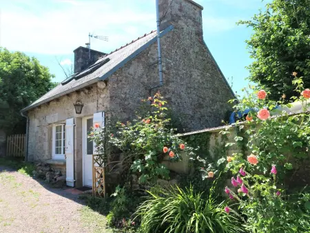Gwenn, Gite 5 personnes à Paimpol - Photo 23