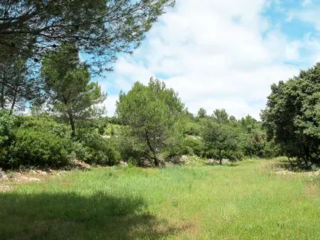 Les Garrigues d'Ozilhan, Maison 8 personnes à Saint Hilaire d'Ozilhan - Photo 37