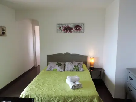Fougère, Appartement 2 personnes à Partinello - Photo 5