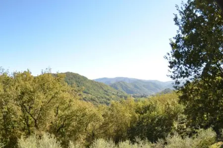 Vistaverde, Maison en Toscane avec Piscine et Vue - Photo 28