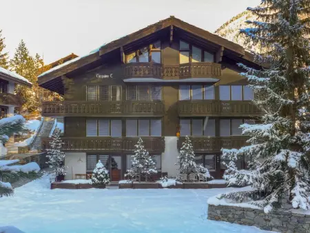 Turquino C, Appartement 6 personnes à Zermatt - Photo 21