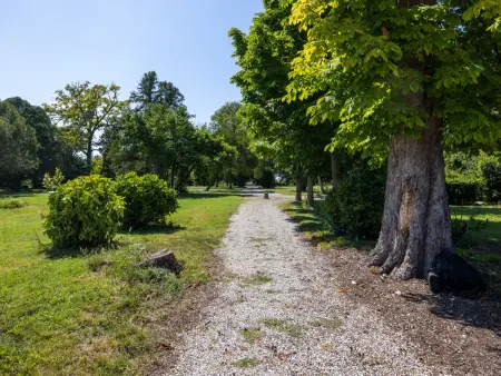 Winery Villa Vitas (App.3), Appartement 4 personnes à Strassoldo - Photo 22
