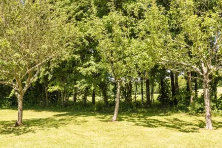 Le Phénix, Chalet de campagne rustique et chic - Photo 20