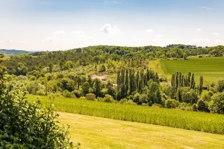 Le Phénix, Chalet de campagne rustique et chic - Photo 22