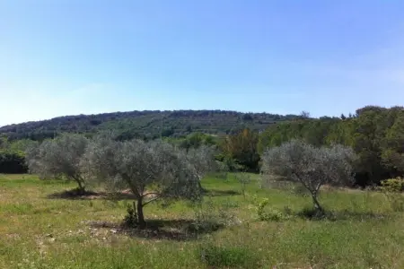 la rosalie, Villa à La Tour-sur-Orb avec piscine et jardin - Photo 32
