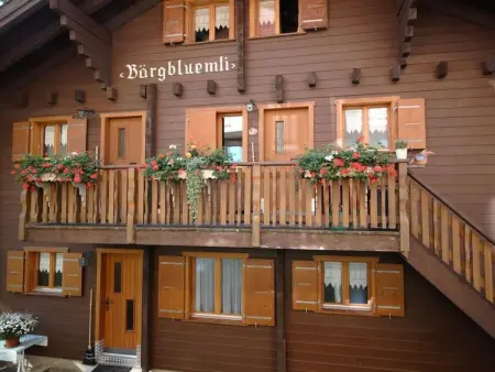 Bärgblüemli 1. OG West, Appartement 4 personnes à Bettmeralp - Photo 1