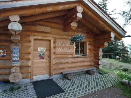Bärgblüemli 1. OG West, Appartement 4 personnes à Bettmeralp - Photo 7