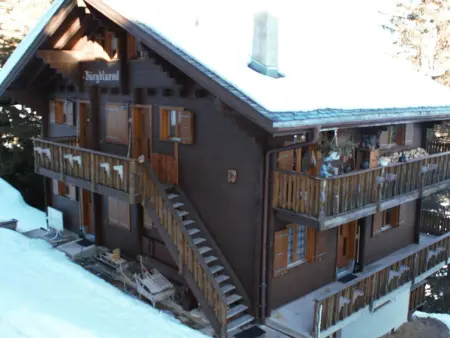 Bärgblüemli 1. OG West, Appartement 4 personnes à Bettmeralp - Photo 14