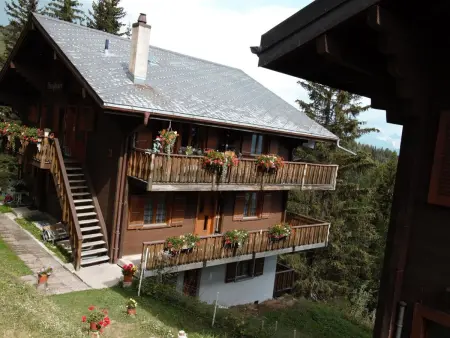 Bärgblüemli 1. OG West, Appartement 4 personnes à Bettmeralp - Photo 26