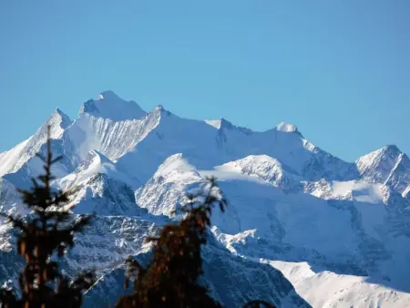 Bärgblüemli EG Süd, Appartement 4 personnes à Bettmeralp - Photo 6