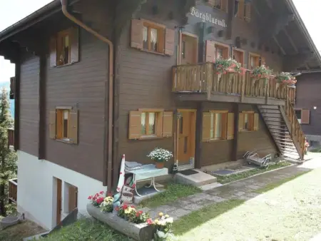 Bärgblüemli EG Süd, Appartement 4 personnes à Bettmeralp - Photo 7