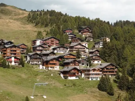 Bärgblüemli EG Süd, Appartement 4 personnes à Bettmeralp - Photo 13