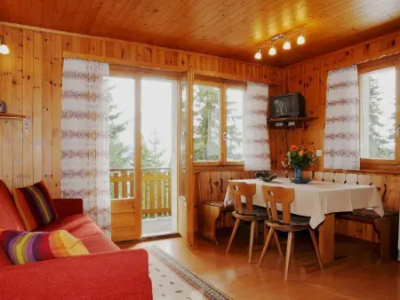 Bärgblüemli EG Süd, Appartement 4 personnes à Bettmeralp - Photo 16